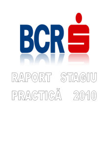Raport stagiu practică 2010 - BCR - Pagina 2
