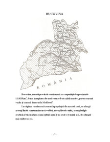 Teritoriile Basarabiei - Pagina 4