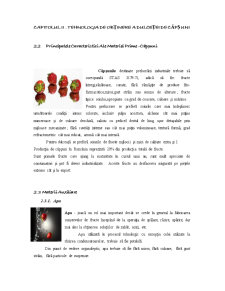 Controlul de Calitate pe Flux Tehnologic la Obținerea Dulceței de Căpșuni - Pagina 4