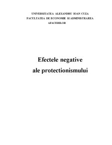 Efectele negative ale protecționismului - Pagina 1