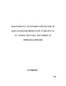Diagnosticul economico - financiar pe baza datelor prezentate în bilanț la SC Magic Myg SRL București în perioada 2000-2002 - Pagina 1
