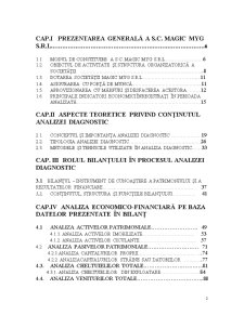 Diagnosticul economico - financiar pe baza datelor prezentate în bilanț la SC Magic Myg SRL București în perioada 2000-2002 - Pagina 2