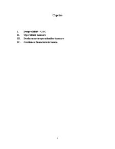 Dosar de practică BRD - Agenția Turda - Pagina 2
