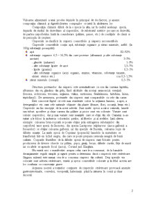 Ciuperci Halucinogene - Pagina 2
