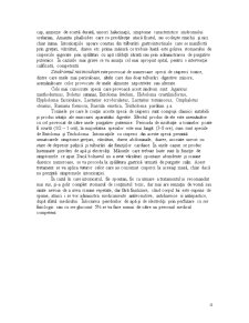 Ciuperci Halucinogene - Pagina 4