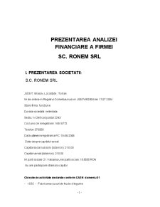 Prezentarea Analizei Financiare a Firmei SC Ronem SRL - Pagina 1