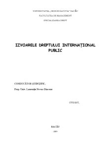 Izvoarele Dreptului Internațional Public - Pagina 2