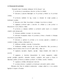 Monografie contabilă la SC Bucuria SA - Pagina 3