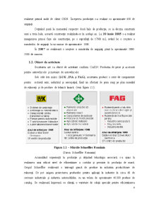 Bazele managementului firmei - prezentare generală SC Schaffler România SRL - Pagina 4