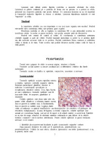 Celula animală - Pagina 3