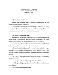Bacterii Lactice Mezofile - Pagina 3