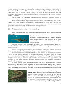 Fauna și flora Mării Negre - Pagina 4