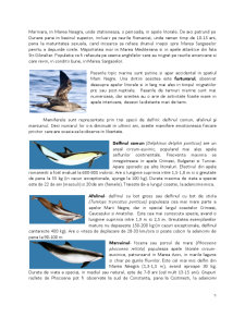 Fauna și flora Mării Negre - Pagina 5