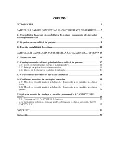 Posibilități de utilizare a contabilității de gestiune la SC Carxyn SRL Suceava - Pagina 3