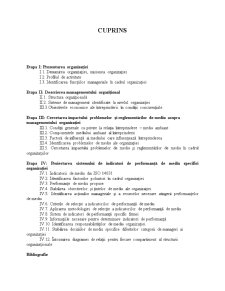 Management organizațional și performanță ecologică - SC Iasitex SA Iași - Pagina 2