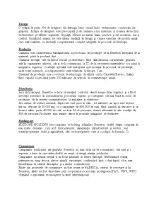 Studiu de Caz - Campanii Publicitare - Benetton - Pagina 3