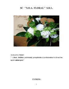 Înființarea unei întreprinderi - SC SOA Floral SRL - Pagina 2