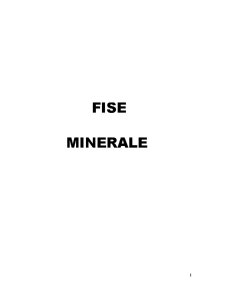 Fișe minerale și roci - Pagina 1