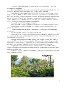 Caracteristica merceologică a ceaiului - Pagina 5