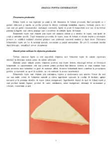Brânza topită - Pagina 1