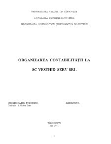 Organizarea Contabilității la SC Vesthid Serv SRL - Pagina 2