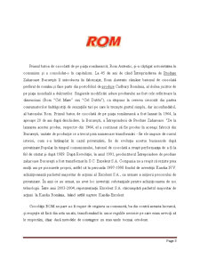 Analiza preliminară a pieței pe care acționează brandul Rom - Pagina 3