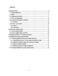 Management financiar - analiza economico-financiară a firmei SC Pasmatex SA - Pagina 3