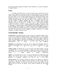 Podgoria Iași - Pagina 3