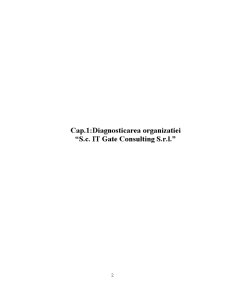 Reproiectarea Sistemului Managerial al Firmei IT Gate Consulting - Pagina 2