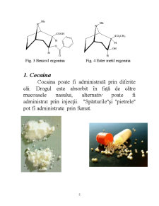 Metode cromatografice - cocaina - Pagina 5