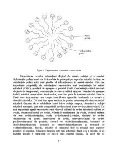 Analiza Poluanților Chirali prin Electrocinetică Micelară - Pagina 5