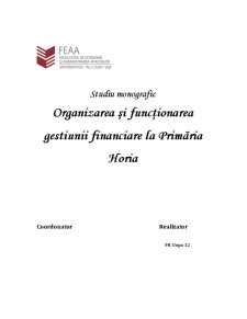 Monografie administrație publică - organizarea și funcționarea gestiunii financiare la Primăria Horia - Pagina 1