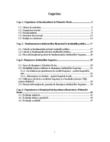 Monografie administrație publică - organizarea și funcționarea gestiunii financiare la Primăria Horia - Pagina 2
