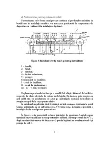 Clasificarea Utilajelor Pasteurizatoare - Pagina 5