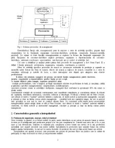 Analiza managementului unei firme - SC Riga Pan SA - Pagina 3