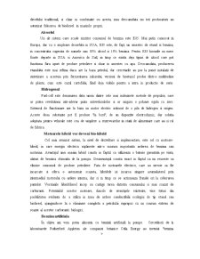Automobile Ecologice - Pagina 3