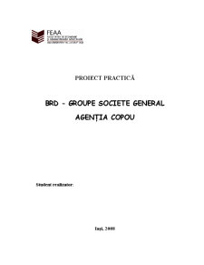 Proiect practică - BRD Copou - Pagina 1