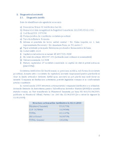 Studiu de fezabilitate SC Antibiotice Iași - Pagina 2