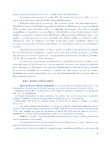 Studiu de fezabilitate SC Antibiotice Iași - Pagina 4