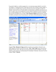 Suport curs Microsoft Project 2003 - Pagina 3