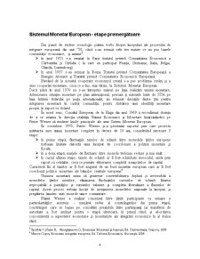 Sistemul Monetar European - Pagina 4