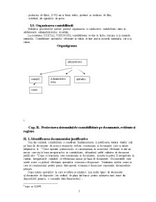 Proiectarea sistemului de contabilbitate pe documente evidențe și registre - Pagina 3