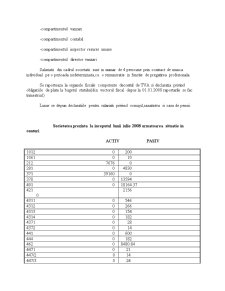 Monografie contabilă - Pagina 3
