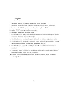 Studiu de Fezabilitate Ritmic Com SRL - Pagina 2