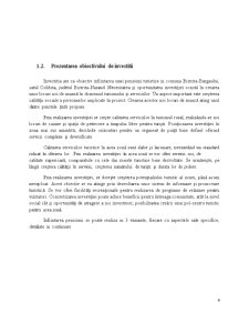 Proiect de investiții. pensiune Comuna Bistrița-Bârgăului, Județul Bistrița-Năsăud - Pagina 4