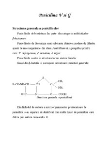 Structura generală a penicilinelor - Pagina 1