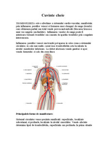 Îngrijiri acordate pacientului internat cu tromboflebită - Pagina 2
