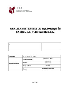 Analiza Sistemului de Trezorerie în Cadrul SC Turbozone SRL - Pagina 1