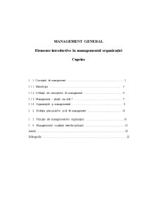 Elemente Introductive în Managementul Organizației - Pagina 1