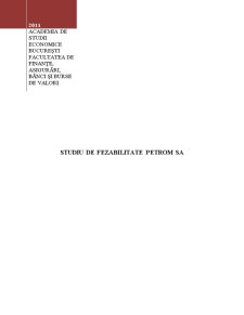 Studiu de Fezabilitate Petrom SA - Pagina 1